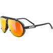 Okulary UVEX esntl pina